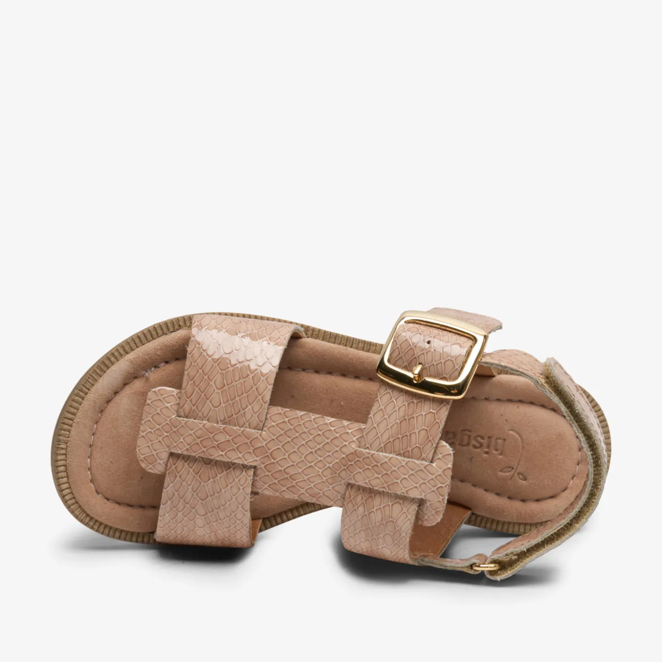 adea camel croco