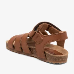 aksel cognac
