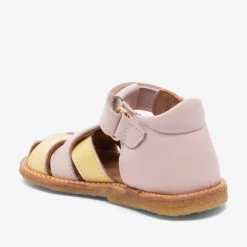 alva baby rose
