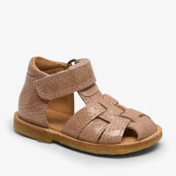ami camel croco