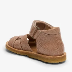 ami camel croco