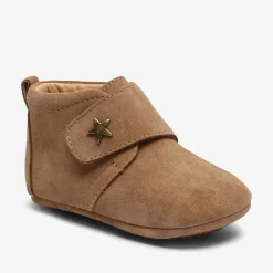 baby star camel