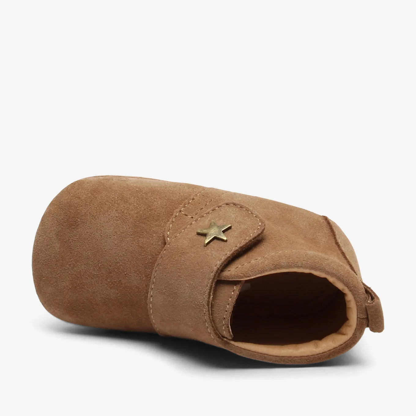 baby star camel