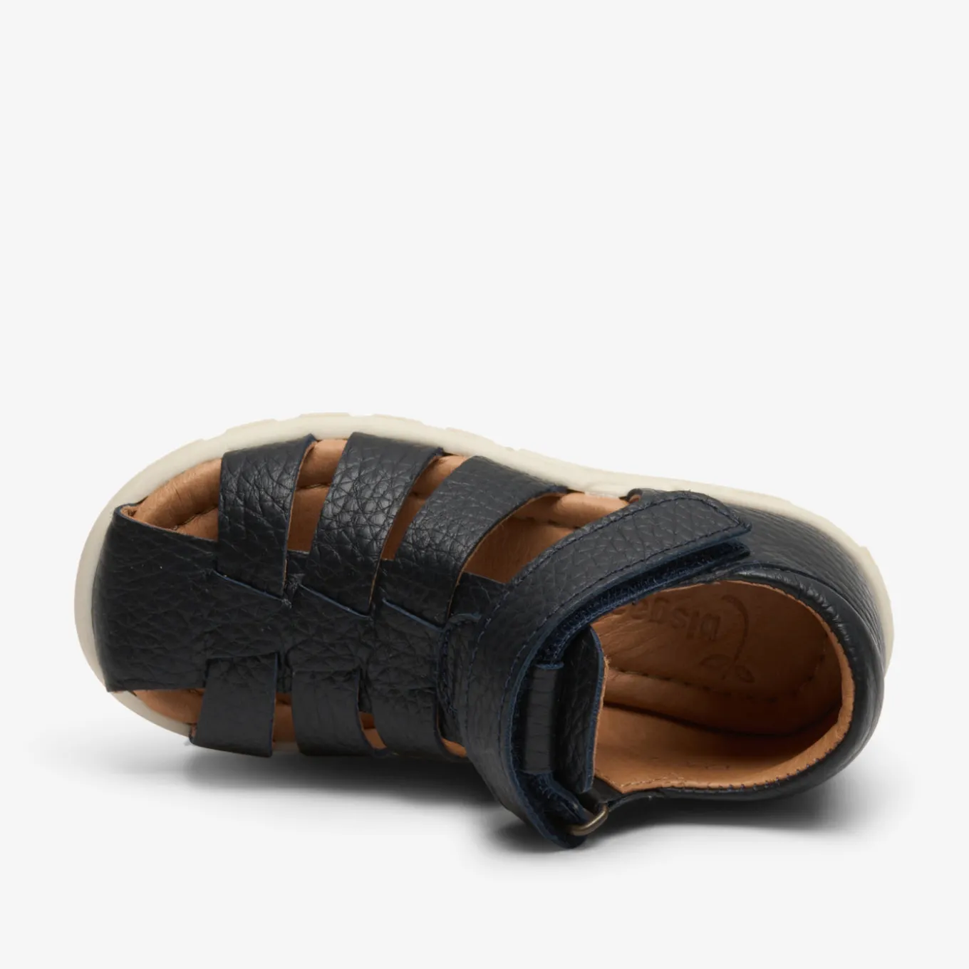 bagge c midnight