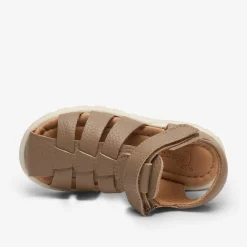 bagge o taupe