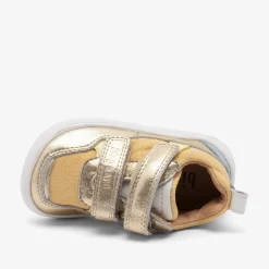 barefoot elroy gold
