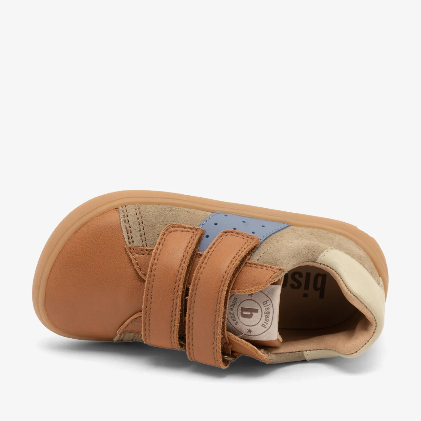 barefoot ricco sage