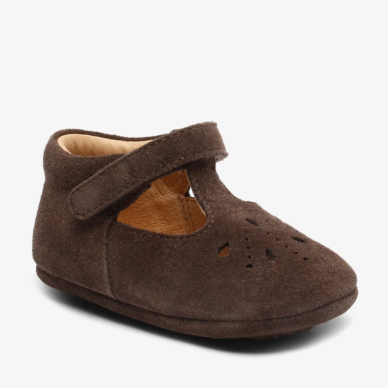 bloom dark brown