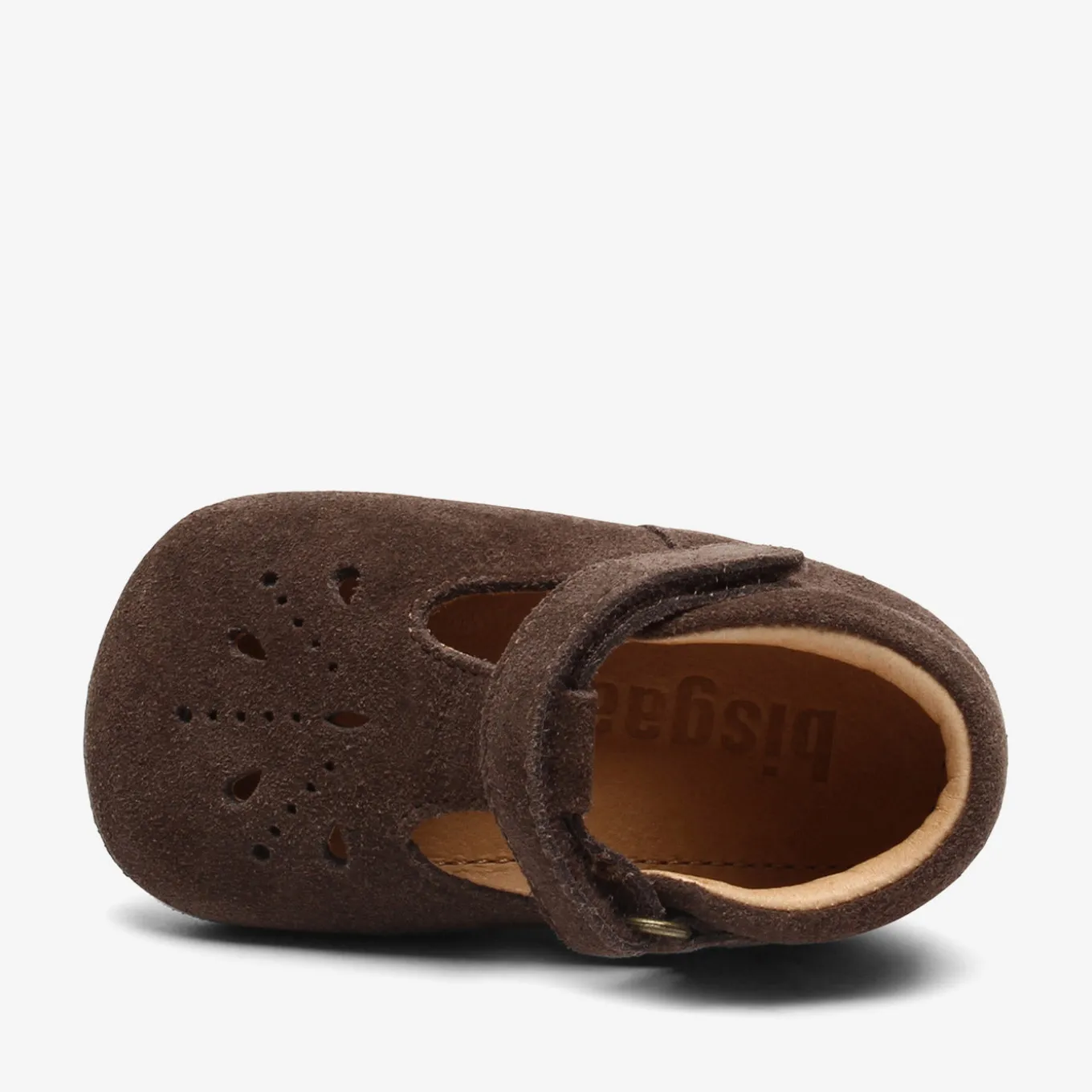 bloom dark brown
