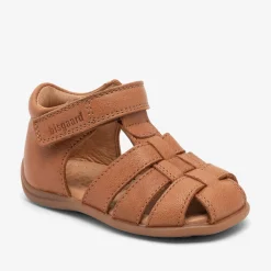 carly cognac
