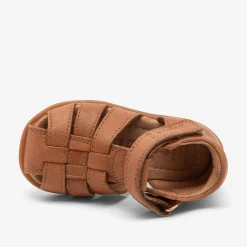 carly cognac