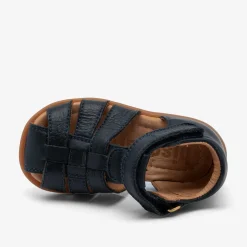 carly navy