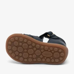 carly navy