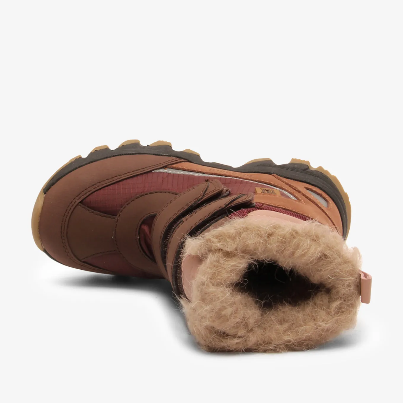 eddie tex bordeaux