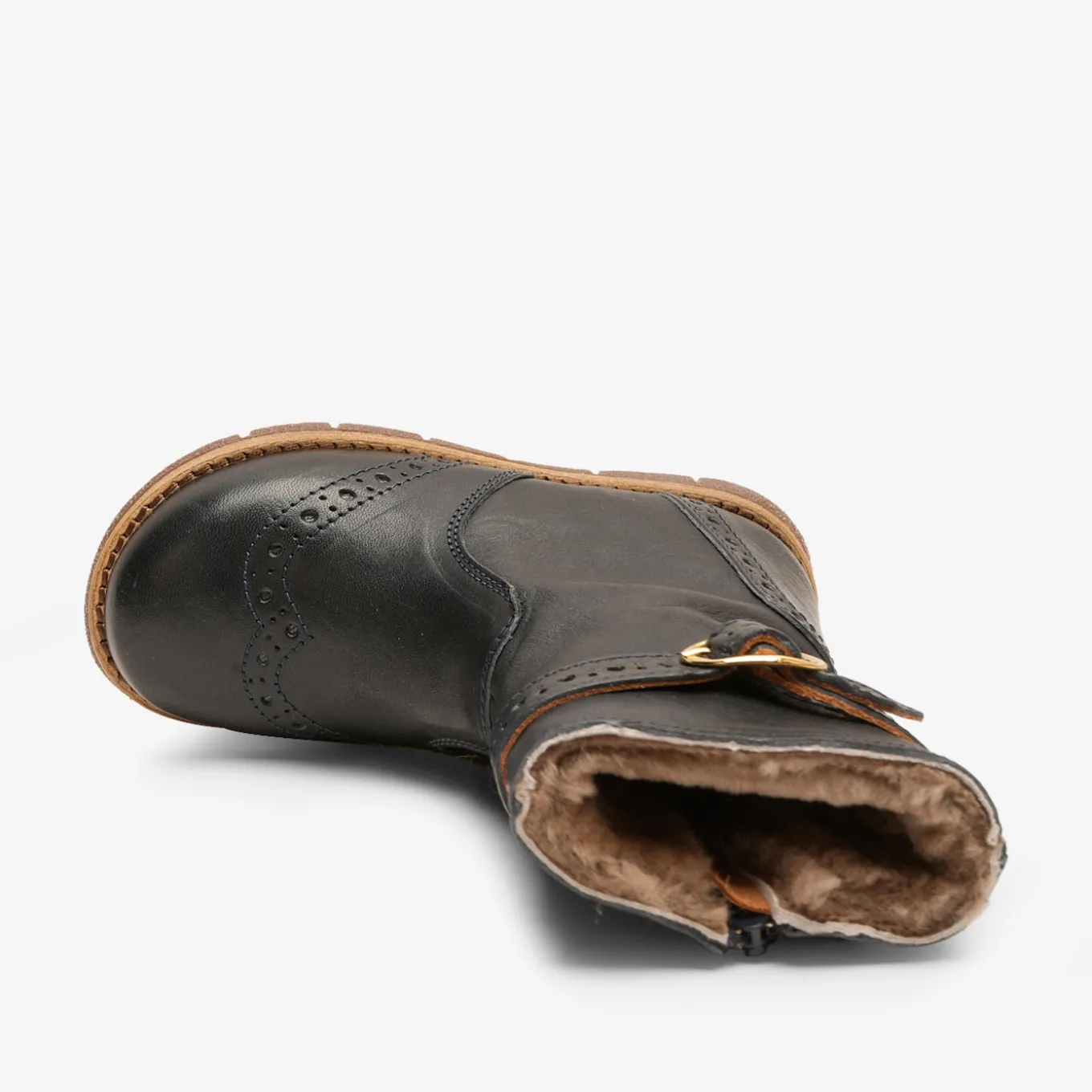noli lamb navy