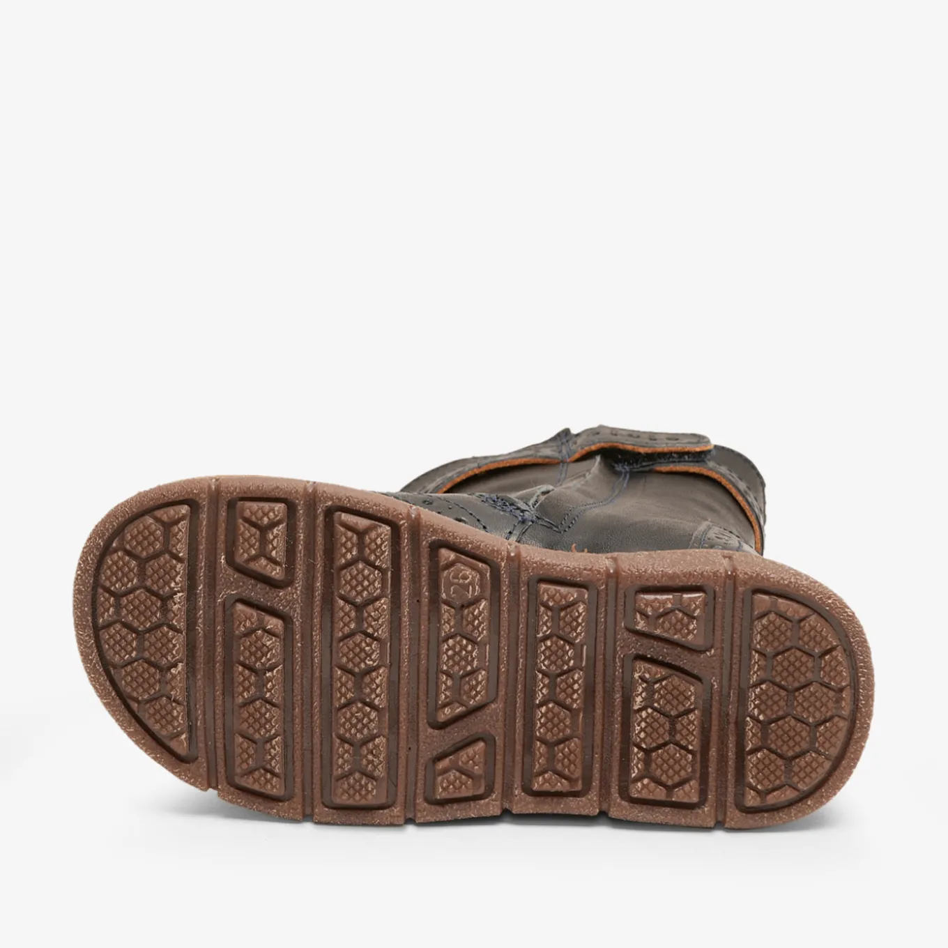 noli lamb navy