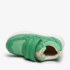 pan v bright green