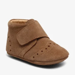 petit camel