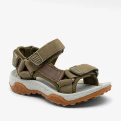 raden deer