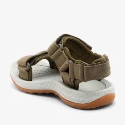 raden deer