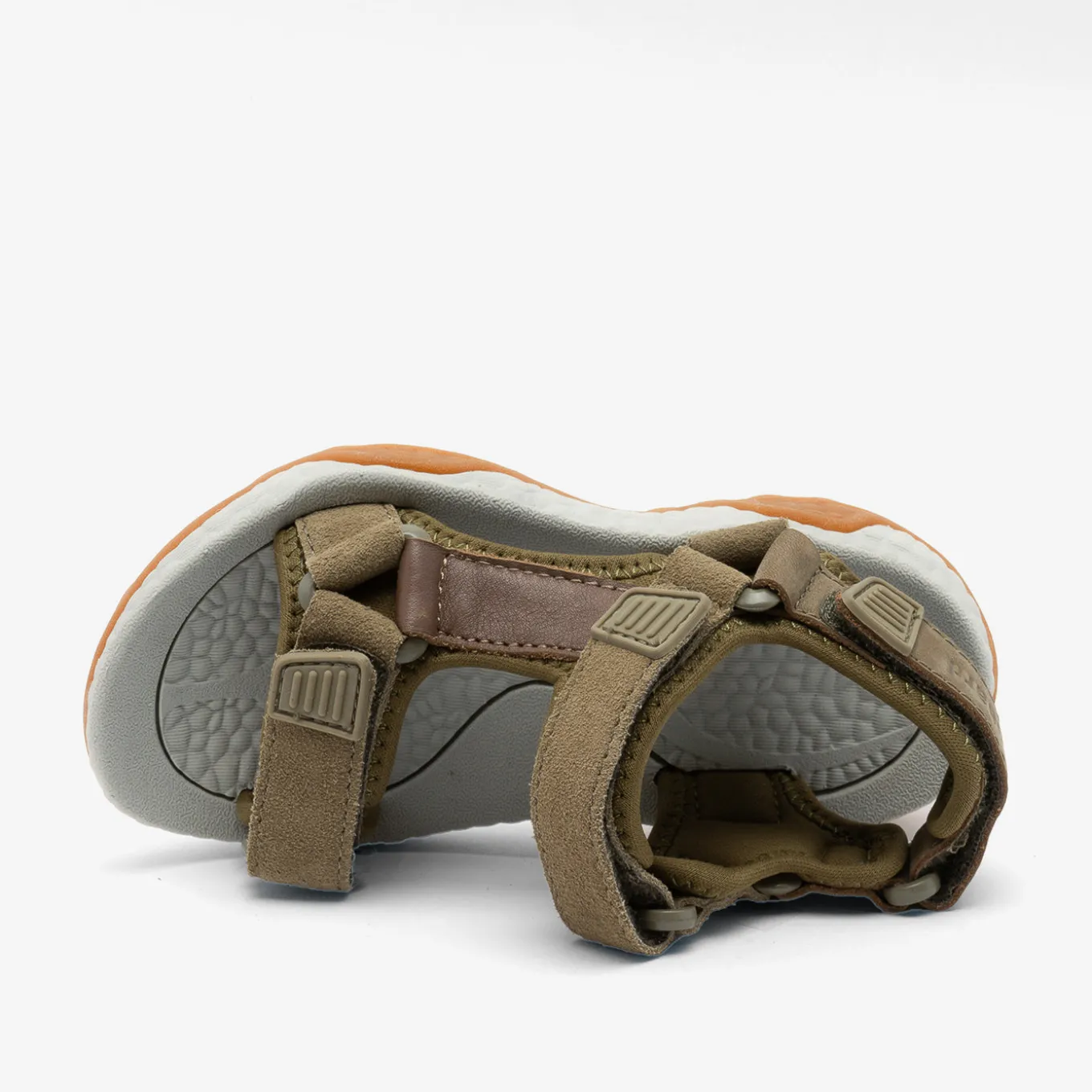 raden deer