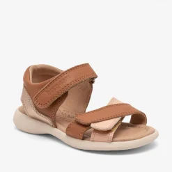 sofie cognac