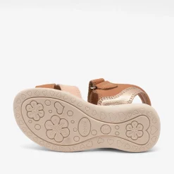 sofie cognac