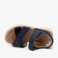 sofie navy