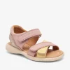 sofie rose yellow