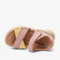 sofie rose yellow