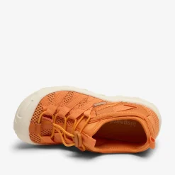 zion orange
